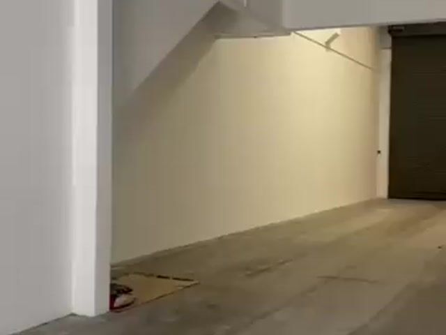 Video Image 1