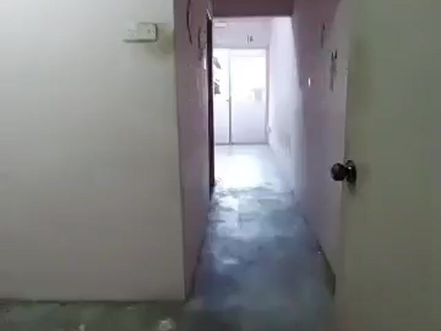 Video Image 1