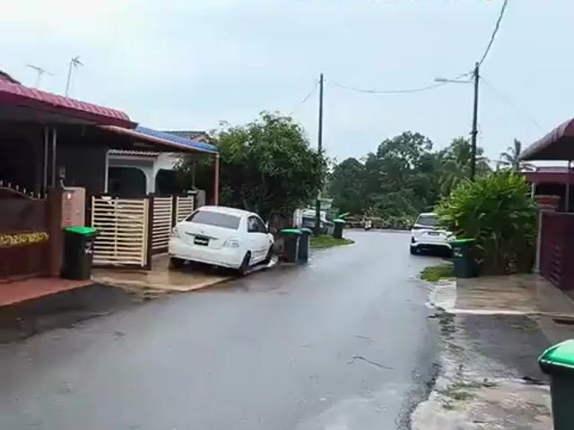 Video Image 1