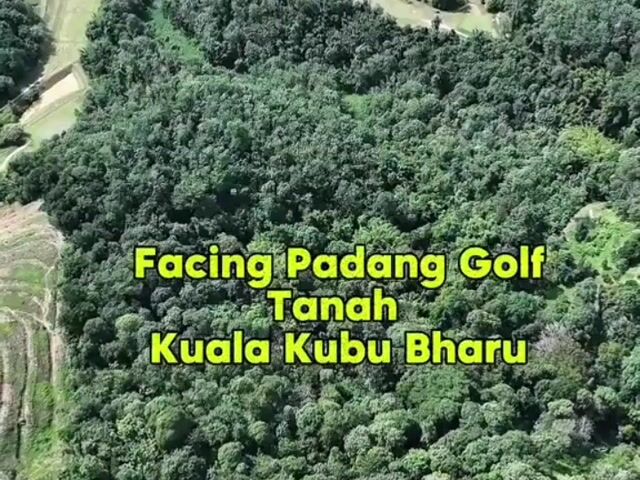 Video Image 1