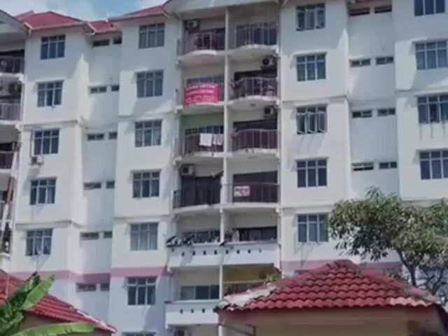 Video Image 1