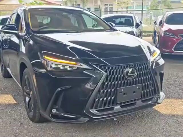 2023 Lexus NX250 2.5 LUXURY (A) GRADE 5A-8 YRS WRT - 1