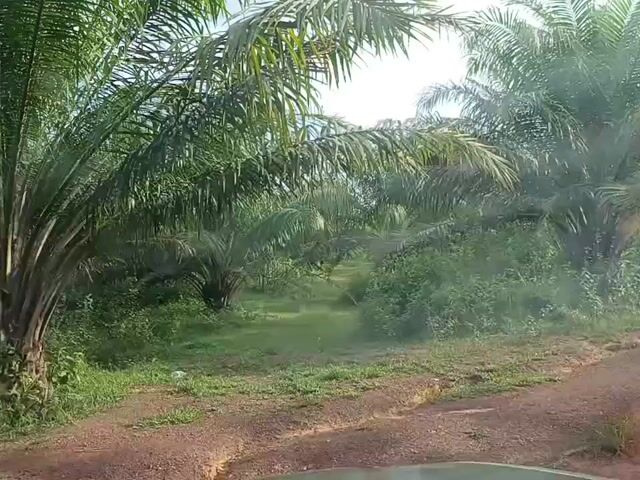 Video Image 1