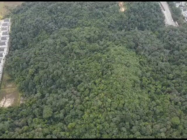 Video Image 1