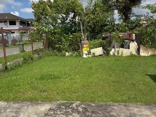 Video Image 1
