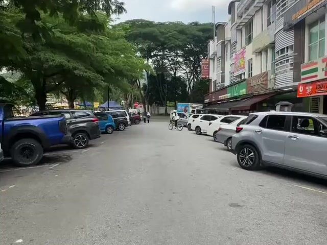 Video Image 1
