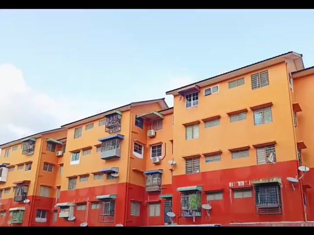 Video Image 1