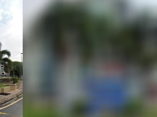 Video Image 1