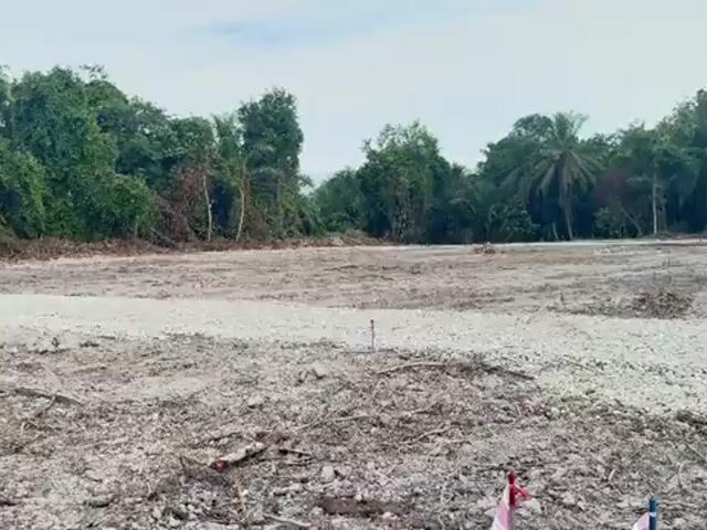 Video Image 1