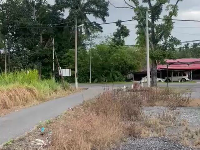 Video Image 1