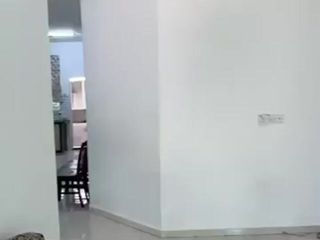 Video Image 1