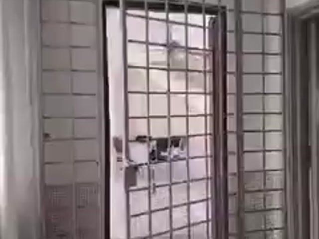 Video Image 1