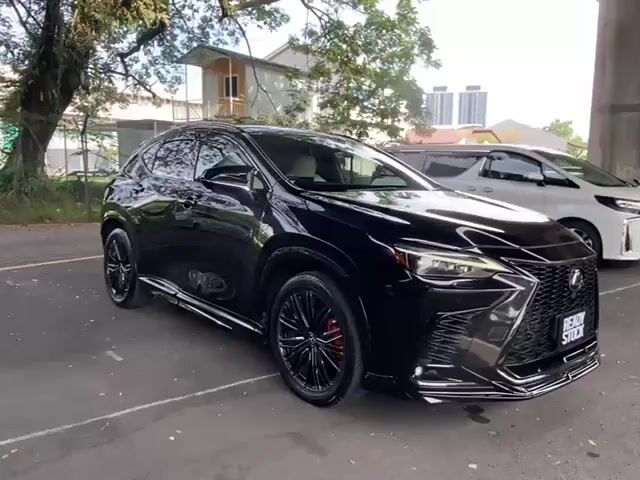 2023 Lexus NX 350 2.4 F SPORT (A) PanRoof Bodykit - 1