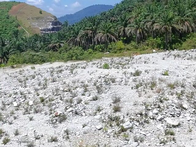 Video Image 1