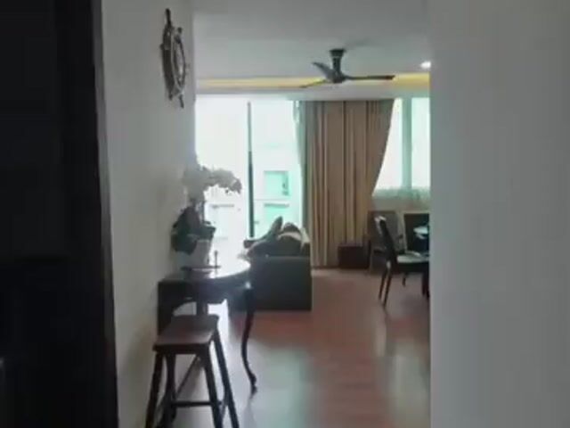 Video Image 1