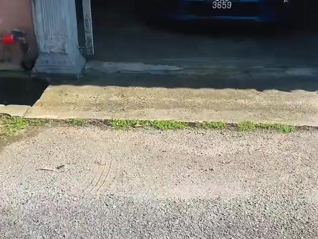 Video Image 1