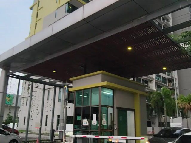 Video Image 1