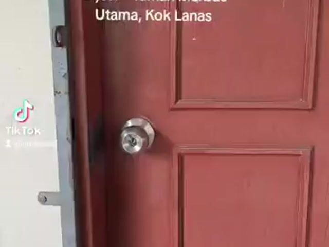 Video Image 1