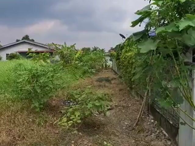 Video Image 1