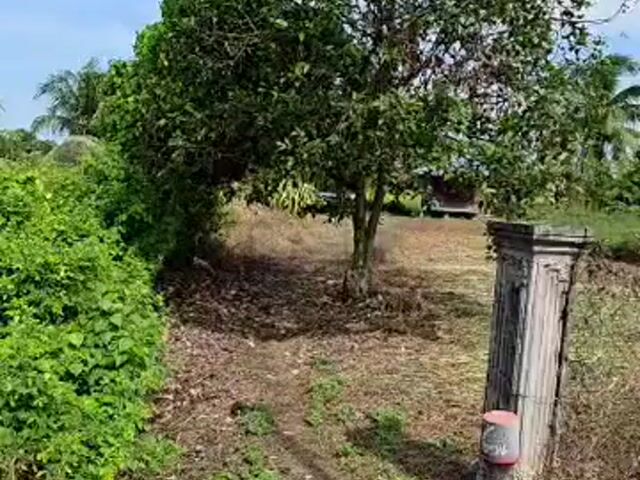 Video Image 1