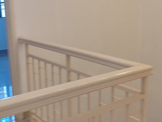 Video Image 1