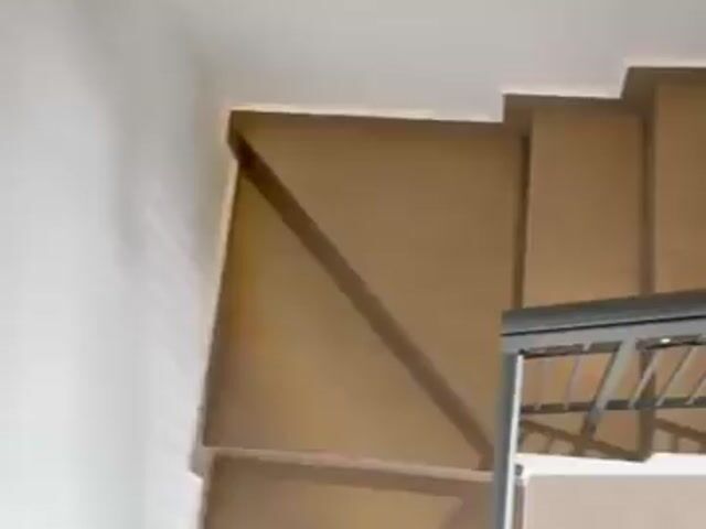Video Image 1