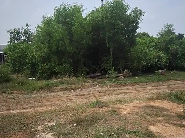 Video Image 1