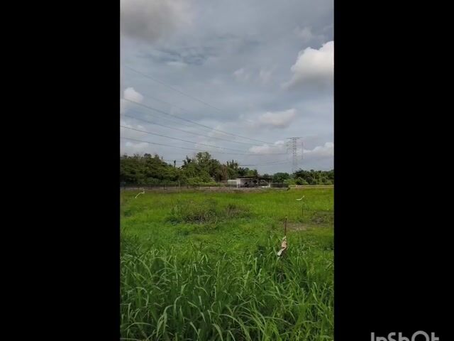 Video Image 1