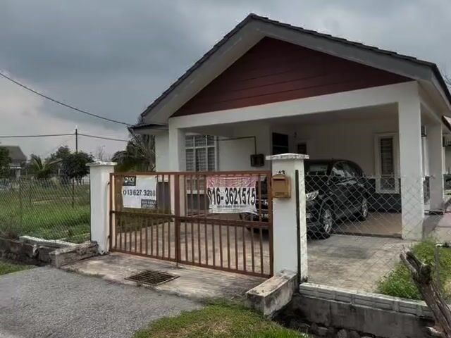 Video Image 1