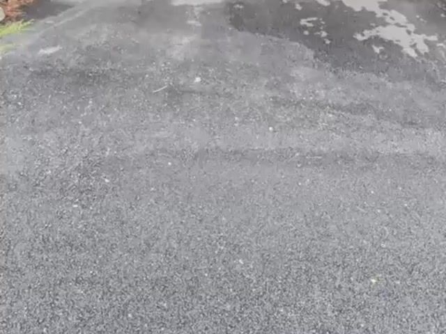Video Image 1