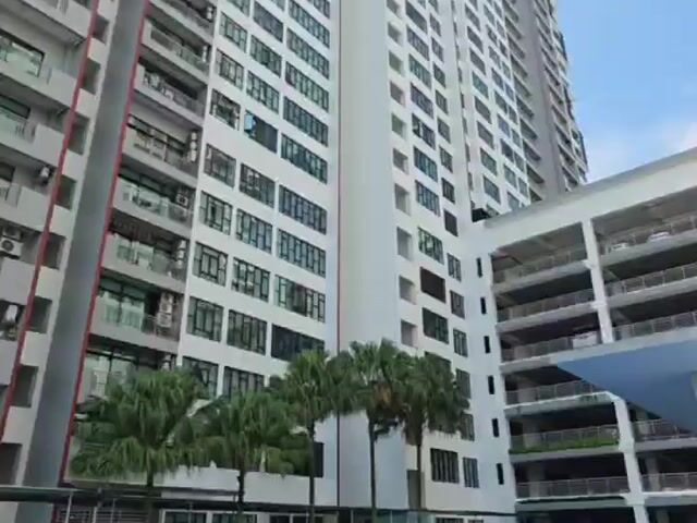 Video Image 1