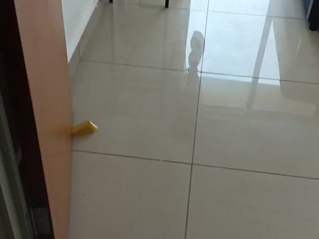 Video Image 1