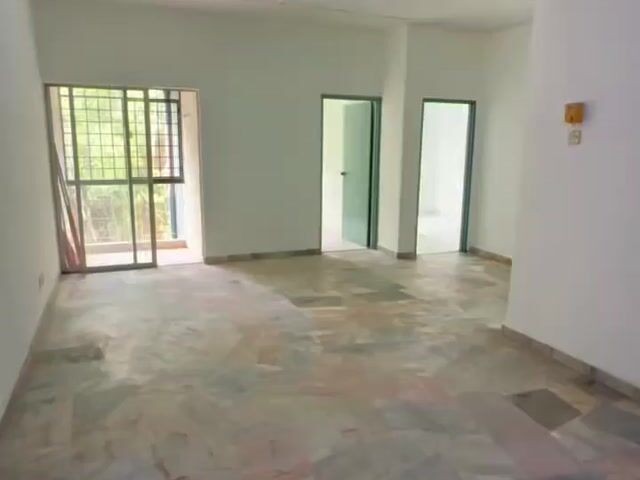 Video Image 1