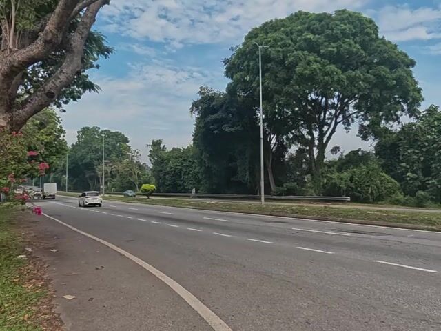 Video Image 1