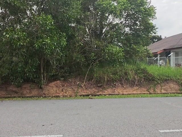 Video Image 1