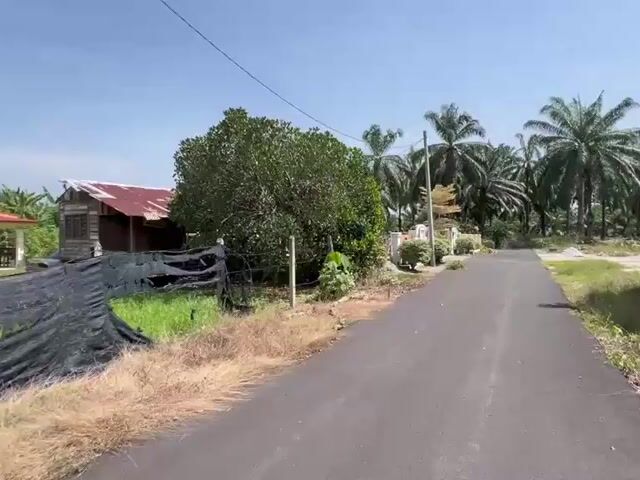 Video Image 1