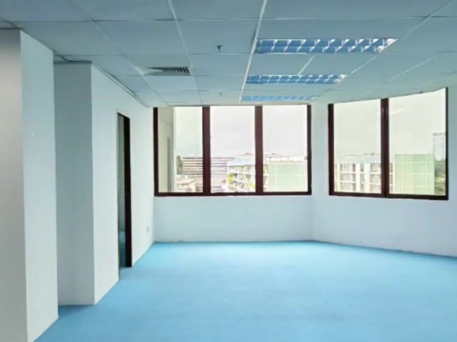 Video Image 1