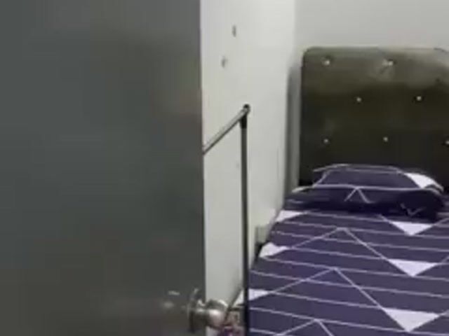 Video Image 1