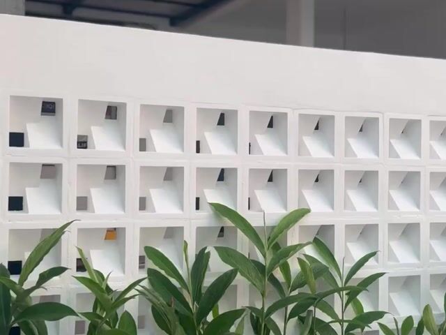 Video Image 1