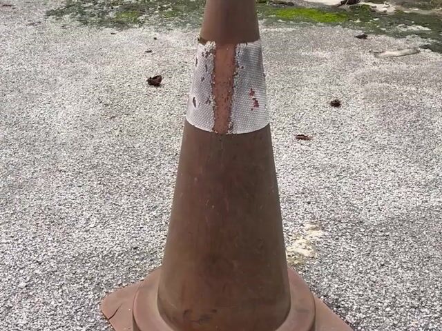Video Image 1