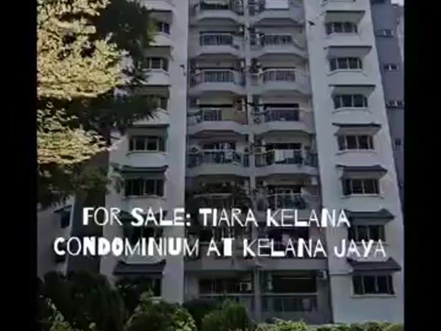 Video Image 1