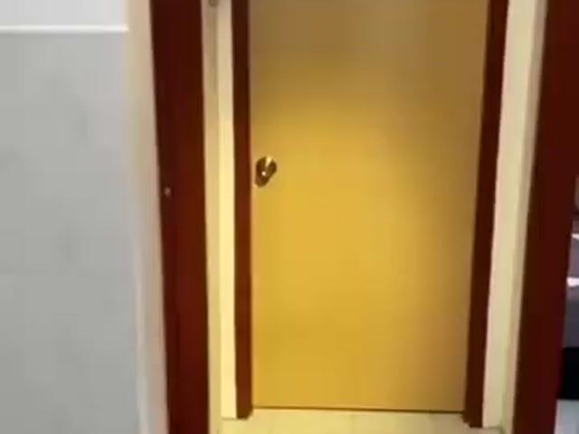 Video Image 1