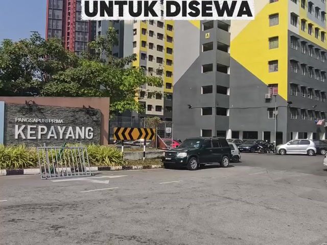 Video Image 1