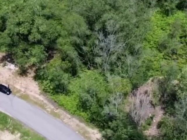 Video Image 1