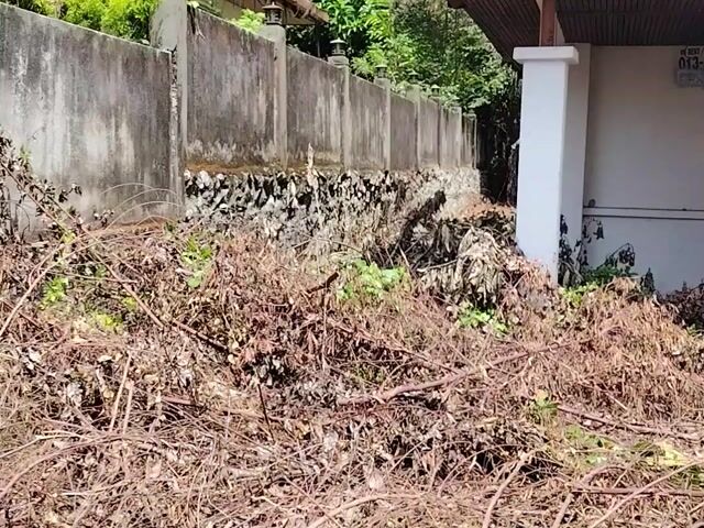 Video Image 1