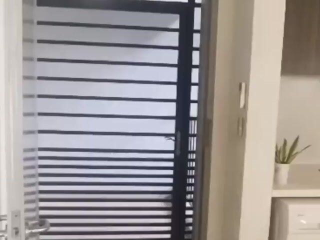 Video Image 1