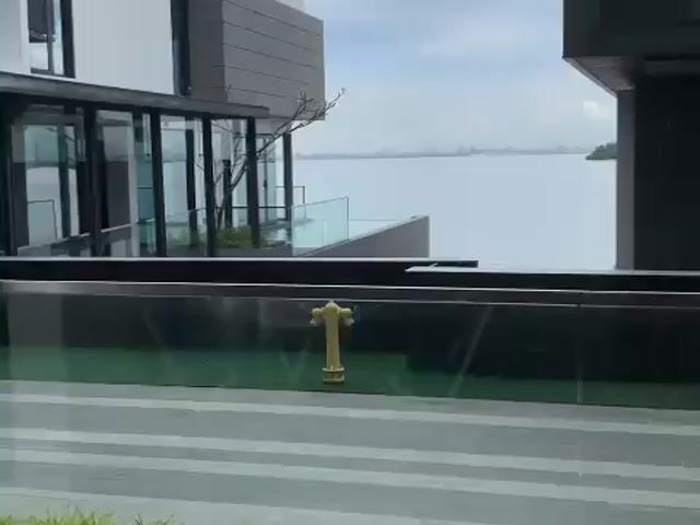 Video Image 1