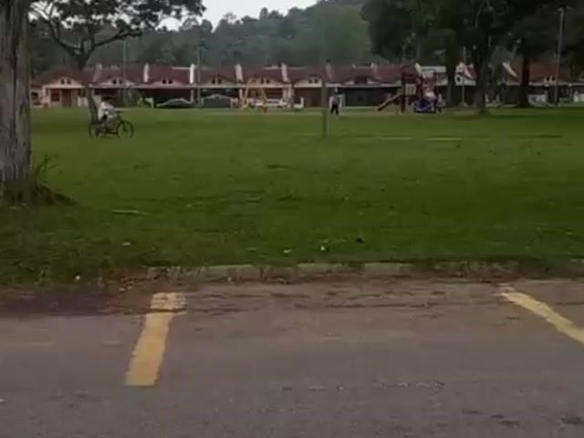Video Image 1