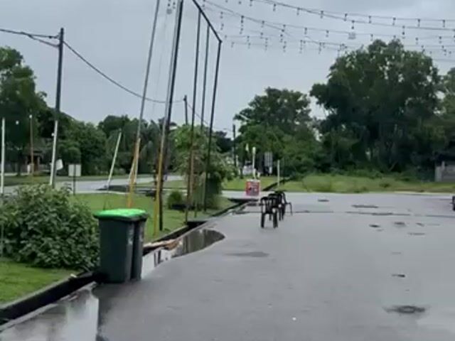 Video Image 1