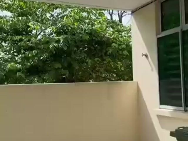 Video Image 1